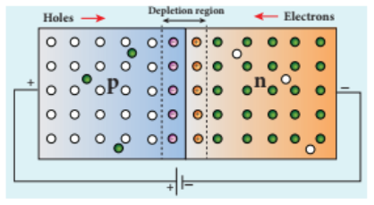 Figure 10.12 Schematic representation of a p-n junction diode under forward bias