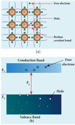 Figure 10.4 (a) The presence of free electron, hole and broken covalent bond in the intrinsic silicon crystal (b) Presence of electrons in the conduction band and holes in the valence band at room temperature