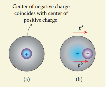 Figure 1.48 Non polar molecules (a) without external field (b) with the external field