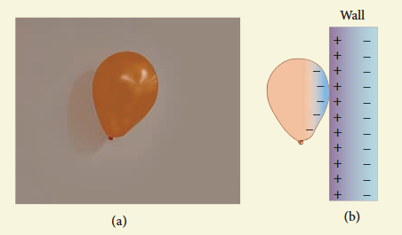 Figure 1.51 (a) Balloon sticks to the wall (b) Polarisation of wall due to the electric field created by the balloon