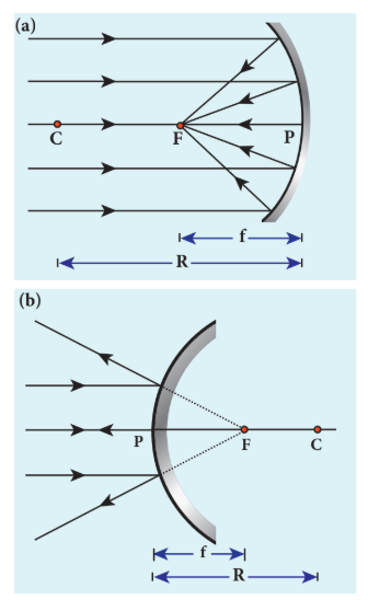 Figure 6.7 Representation of terminologies for (a) concave and (b) convex mirrors