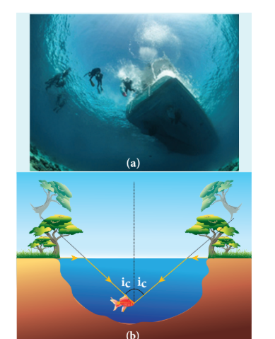 Figure 6.26 (a) Snell’s window and (b) angle of view for water animals