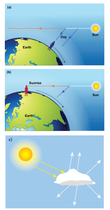 Figure 6.45 Scattering of different types