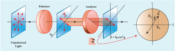 Figure 7.29 Malus’ law