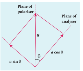 Figure 7.30 Malus’ law