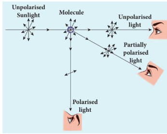 Figure 7.35 Polarisation by scattering