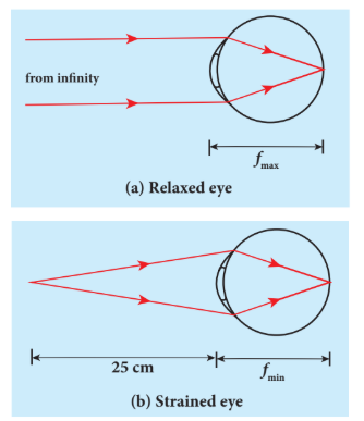 Figure 7.46 Focusing of normal eye