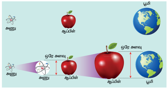 படம் 9.1 அணுவின் அளவுடன் ஆப்பிளின் அளவை ஒப்பிடுதல் மற்றும் ஆப்பிளின் அளவுடன் புவியின் அளவை ஒப்பிடுதல்
