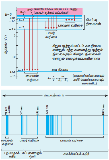 படம் 9.23 கார்பனின் ஐசோடோப்புகள்