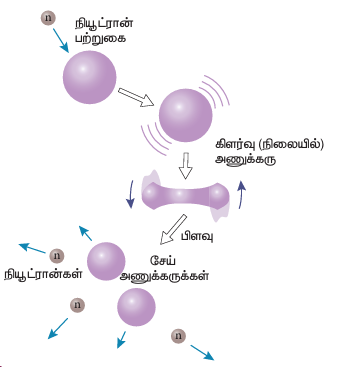 படம் 9.27 அணுக்கரு பிளவு