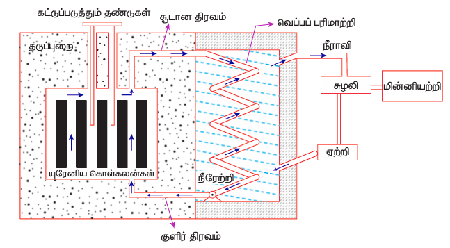 படம் 9.29 (அ) அணுக்கரு உலையின் கட்டப்படம்