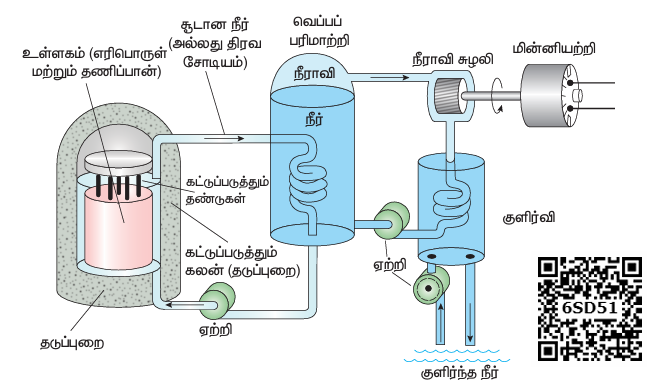 படம் 9.29 (ஆ) அணுக்கரு உலையின் குறுக்கீட்டுப் படம்
