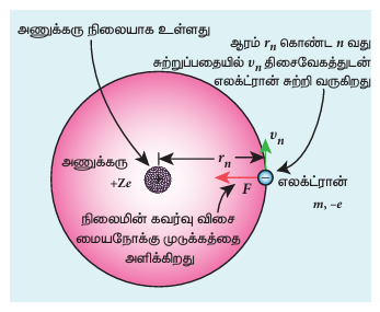 படம் 9.17 எலக்ட்ரானின் ஆற்றலும் முதன்மைக் குவாண்டம் எண்ணும் இடையேயான தொடர்பு