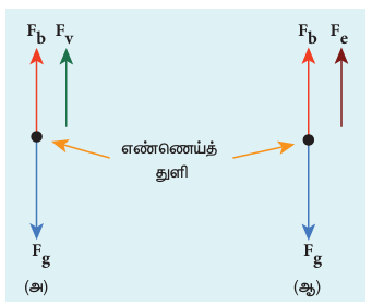 படம் 9.7 எண்ணெய்த்துளியின் தனிப்பொருள் விசைப்படம் (அ) மின்புலம் அற்ற நிலையில் (ஆ) மின்புலம் உள்ளபோது