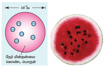 படம் 9.8 (அ) அணு (ஆ) தர்பூசணிப் பழம்
