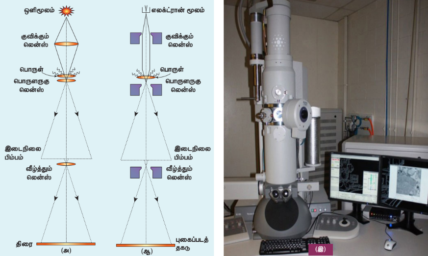 படம் 8.19 (அ) ஒளியியல் நுண்ணோக்கி (ஆ) எலக்ட்ரான் நுண்ணோக்கி (இ) எலக்ட்ரான் நுண்ணோக்கியின் புகைப்படம்