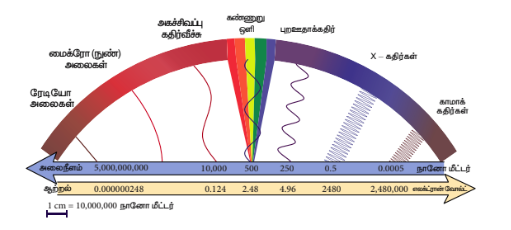 படம் 5.10 மின்காந்த அலை நிறமாலை