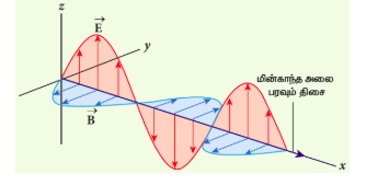 படம் 5.8 மீண்காந்த அலைகள் – குறுக்கலை