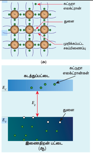 படம் 10.4 (அ) உள்ளார்ந்த சிலிகான் படிகத்தில் கட்டுறா எலக்ட்ரான், எலக்ட்ரான், துளை மற்றும் முறிக்கப்பட்ட சகப்பிணைப்பு (ஆ) அறை வெப்பநிலையில் கடத்துபட்டையில் எலக்ட்ரான் மற்றும் இணைதிறன் பட்டையில் துளை