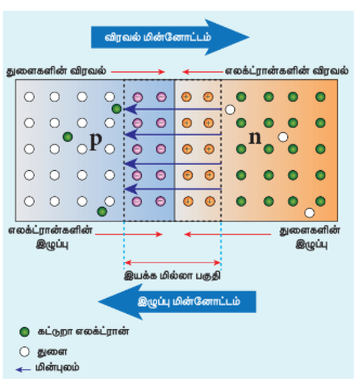 படம் 10.9 p-n சந்தி உருவாக்கம்