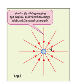 படம் 1.9 தனித்த, புள்ளி நேர மற்றும் எதிர்  மின்துகள்களுக்கு மின்புலக் க�ொழுகள்