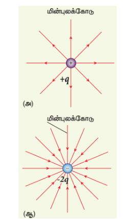 படம் 1.13 மின்னராட்சிகள் எண்மதிப்பும்  மின்னுகள் கோடுகளும்