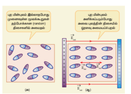 படம்1.49 (அ) குறிப்பிட் திசையில் அல்லாமல் துருவ மூலக்கூறுகள் அமைதல் (ஆ) புற மின்புலத்திசையில் ஒருங்கமைதல்