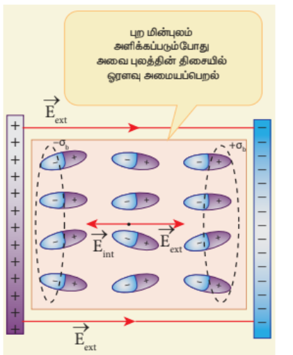 படம் 1.50 மின்காப்பின் உட்புறம் தூண்டப்பட்ட மின்புலம்