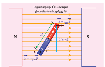 படம் 3.16 சீரான காந்தப்புலத்தில் உள்ள காந்த இருமுனை