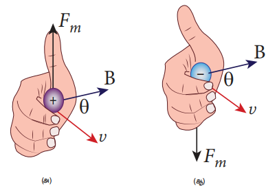 படம் 3.44 டாரன்ஸ் விசையின் திசை (அ) நேர்மின் துகள்களுக்கு (ஆ) எதிர்மின் துகள்களுக்கு