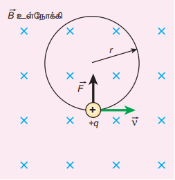 படம் 3.45 செங்குத்தாகச் செயல்படும் சீரான காந்தப்புலத்தில் உள்ள மின்துகளின் வட்டப்பாதை இயக்கம்
