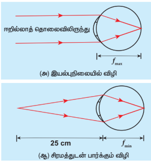 படம் 7.46 சாதாரண விழியின் குவியமாக்கல்