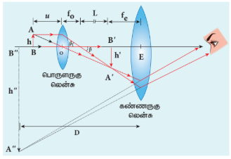 படம் 7.39 கூட்டு நுண்ணோக்கி